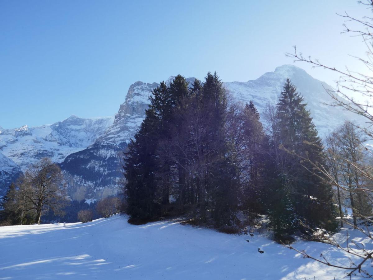 Apartment Chalet Blaugletscher By Interhome Grindelwald Exterior foto