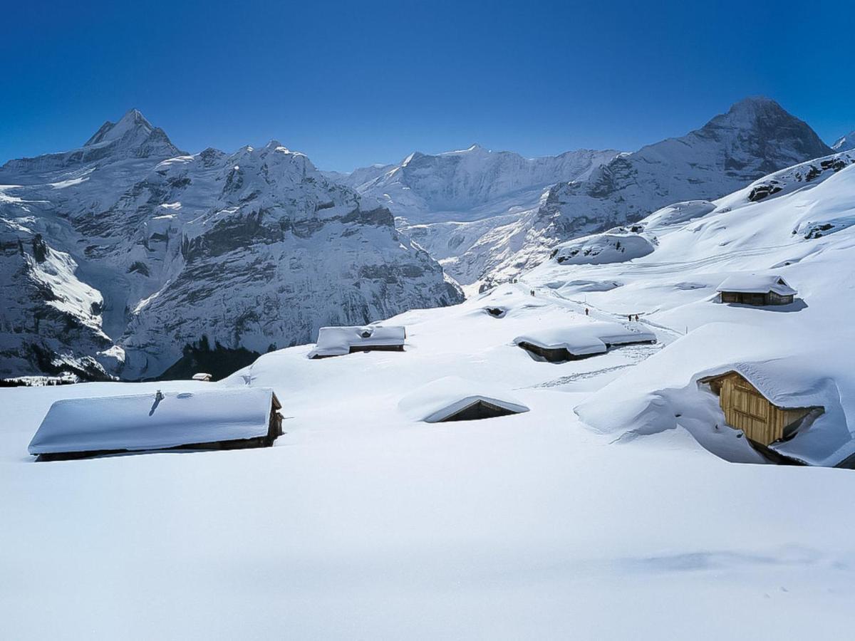 Apartment Chalet Blaugletscher By Interhome Grindelwald Exterior foto